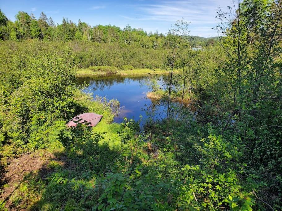 Chalets Nabu La Sacacomie - Riviere - Billard Saint-Alexis-des-Monts Kültér fotó