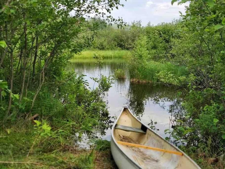 Chalets Nabu La Sacacomie - Riviere - Billard Saint-Alexis-des-Monts Kültér fotó