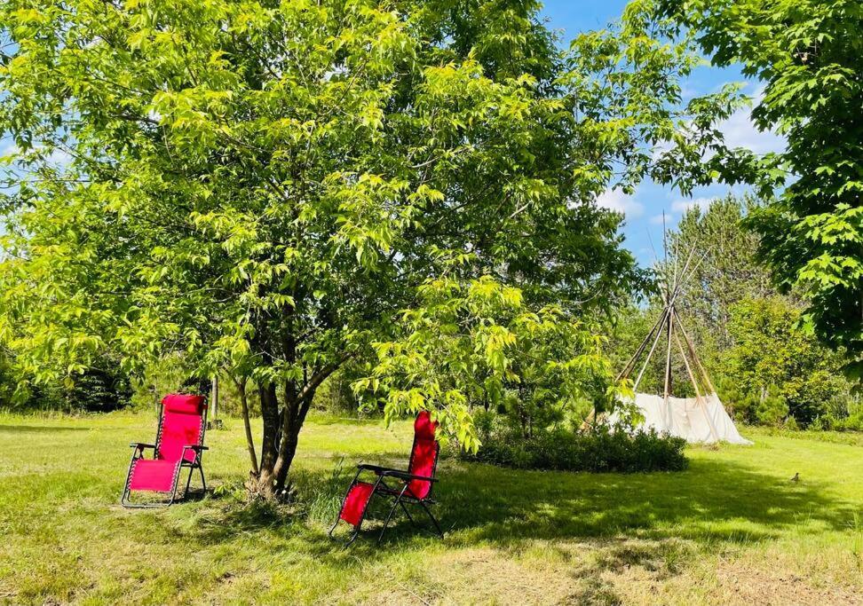 Chalets Nabu La Sacacomie - Riviere - Billard Saint-Alexis-des-Monts Kültér fotó
