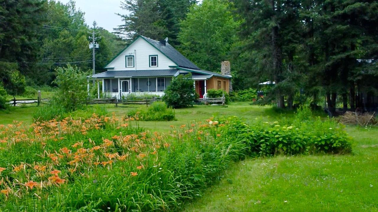 Chalets Nabu La Sacacomie - Riviere - Billard Saint-Alexis-des-Monts Kültér fotó