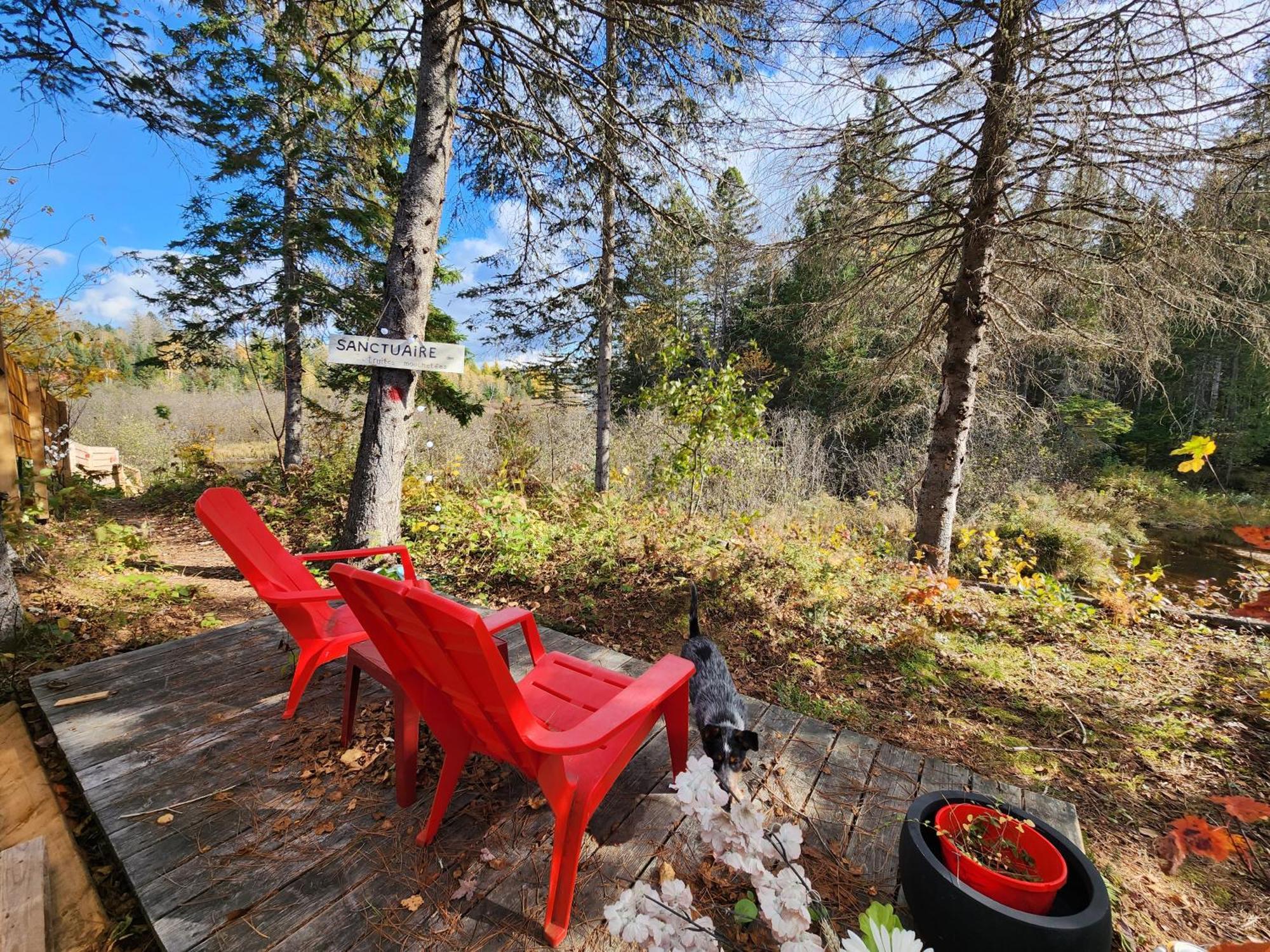 Chalets Nabu La Sacacomie - Riviere - Billard Saint-Alexis-des-Monts Kültér fotó